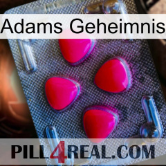 Adams Secret 13